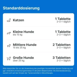 Discount Traumeel T ad us. vet. Tabletten für Hund und Katze, 500 St