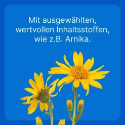 Best Traumeel T ad us. vet. Tabletten für Hund und Katze, 100 St