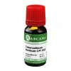 Hot Arcana Tuberculinum Bovinum LM 30 Dilution, 10 ml
