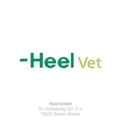 Outlet Ubichinon compositum ad us. vet. Ampullen, 10 St Biologische Heilmittel Heel Gmbh