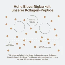 Vital Proteins Collagen Peptides Kakao Pulver, 297 g