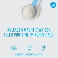 New Vital Proteins Matcha Collagen Pulver, 341 g