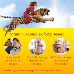 Best Hevert Vitamin B Komplex forte Tabletten, 200 St