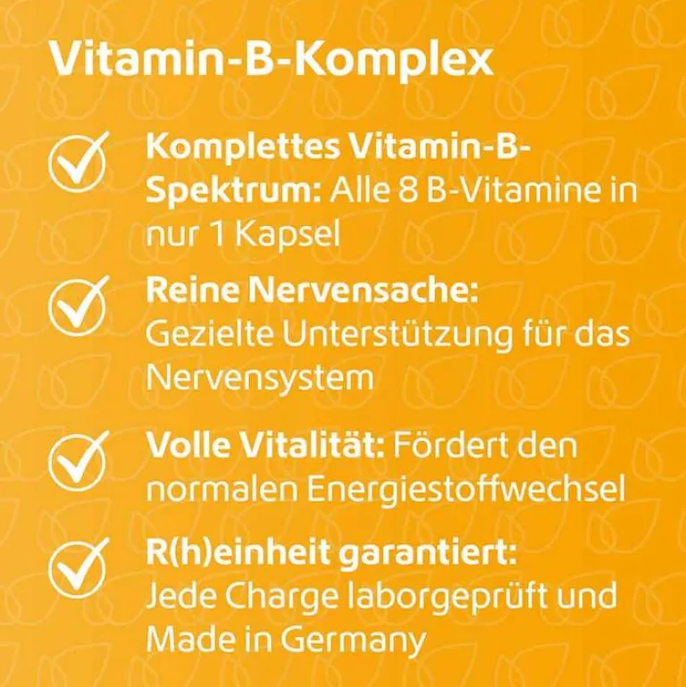 Discount R(h)ein Nutrition Vitamin B Komplex Kapseln, 120 St