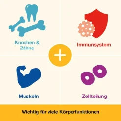 Online Dr. Loges Vitamin D-Loges 7.000 I.E. pflanzlich Wochendepot, 90 St