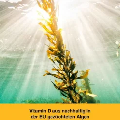 Online Dr. Loges Vitamin D-Loges 7.000 I.E. pflanzlich Wochendepot, 90 St