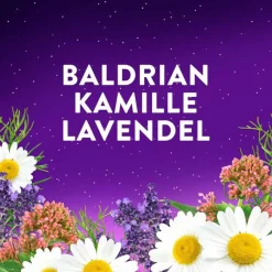 Online Gute Nacht Intens, 60 St Melatonin Tabletten