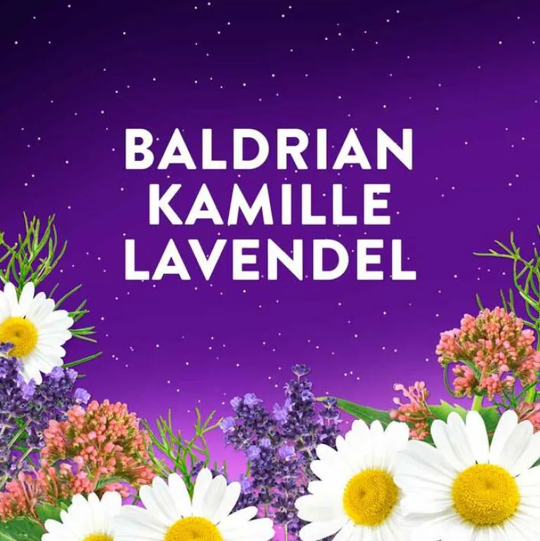 Online Gute Nacht Intens, 60 St Melatonin Tabletten