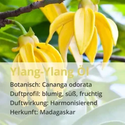 Ylang Ylang Öl naturrein ätherisch, 10 ml Aromatische Düfte