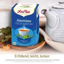 Best Atem Tee Bio, 17X1.8 g Yogi Tee|Bio Tee