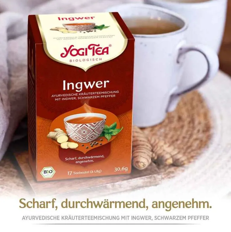 Online Ingwer Bio, 17X1.8 g Yogi Tee