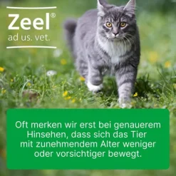 New Zeel ® ad us. vet. Tabletten, 100 St