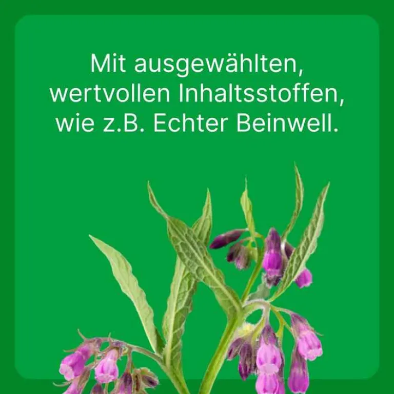 New Zeel ® ad us. vet. Tabletten, 100 St