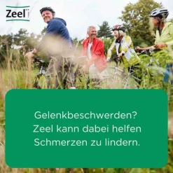Zeel comp.N Tabletten, 250 St