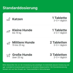 Zeel® LT ad us. vet. Tabletten, 500 St