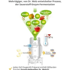 Zell Oxygen + Gelee Royale 600 mg Trinkampullen, 14X20 ml