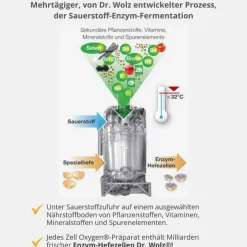 Clearance Zell Oxygen plus flüssig, 250 ml Enzyme