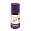 Hot Taoasis Zypresse Öl Bio, 5 ml